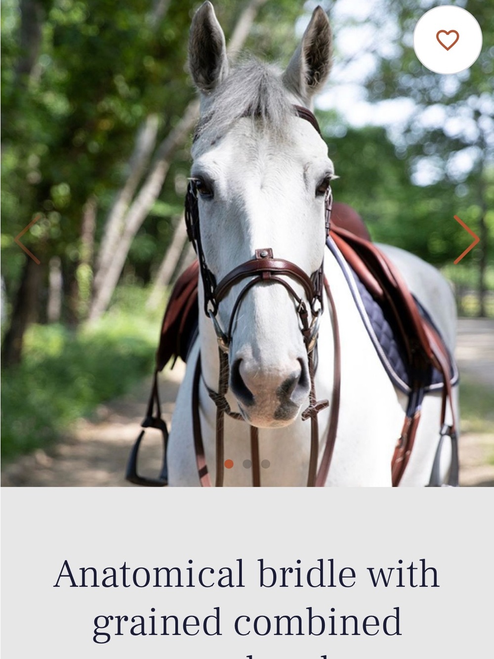 Brown Anatomical Bridle — Classic Leather Equestrian Bridle